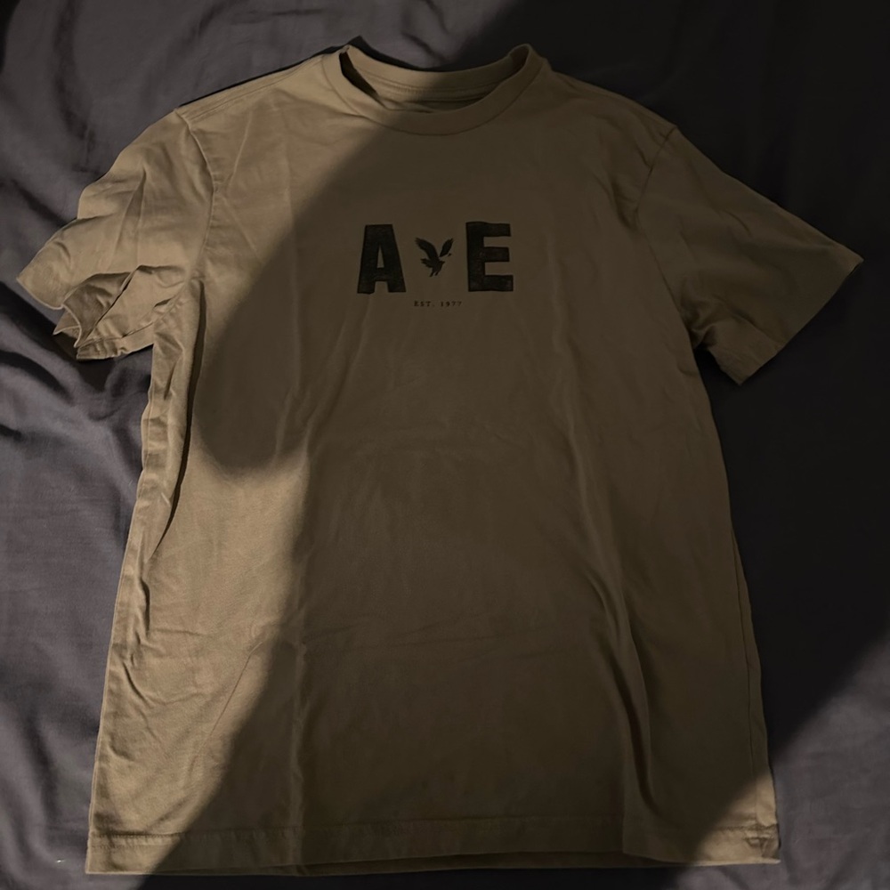 American Eagle Outfitters Men's Khaki Graphic Tee